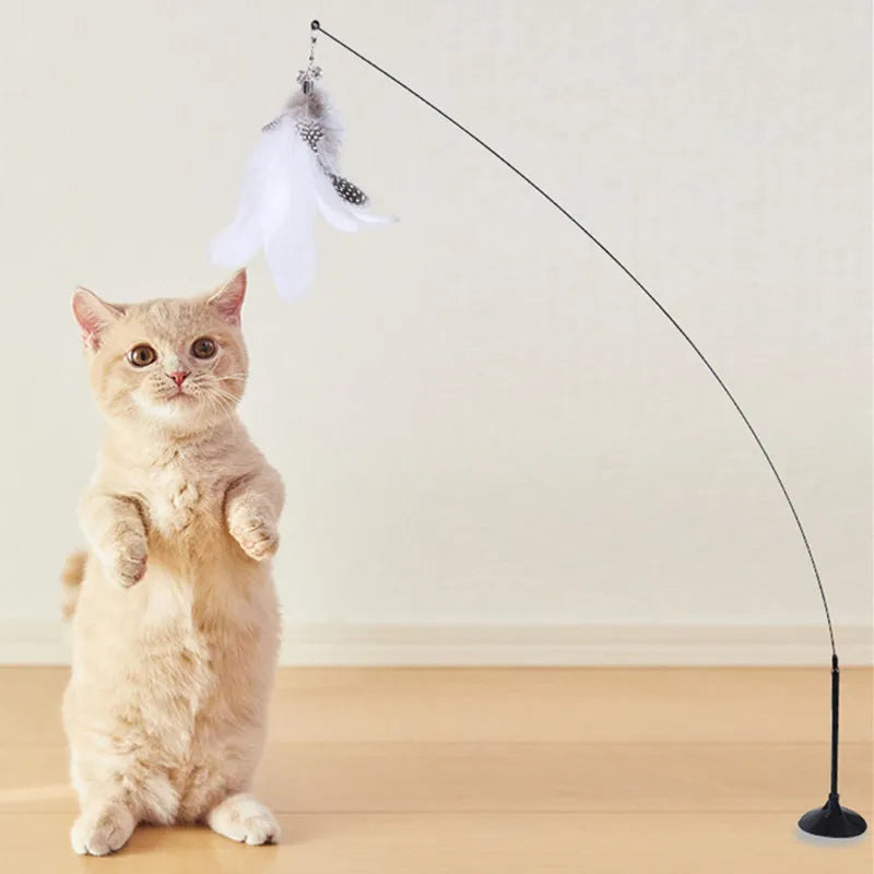 Interactive cat toy steel wire with feather.