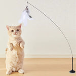 Interactive cat toy steel wire with feather.