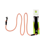Dog leash with packaging on a white background