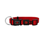 DOCO® Nylon O-Ring Dog Collar.