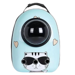 Pet carrier with a cat design and heart shapes on a light blue background