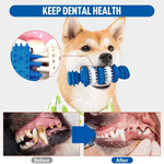 Dog using a blue dental chew toy with before and after images of a dog's teeth.