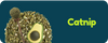 Avocado-shaped container filled with catnip on a blue background with 'Catnip' text.