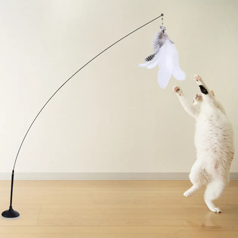 Interactive cat toy steel wire with feather.