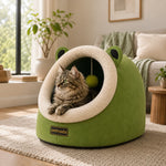 Petmoda Cat House Bed Frog 50Cm