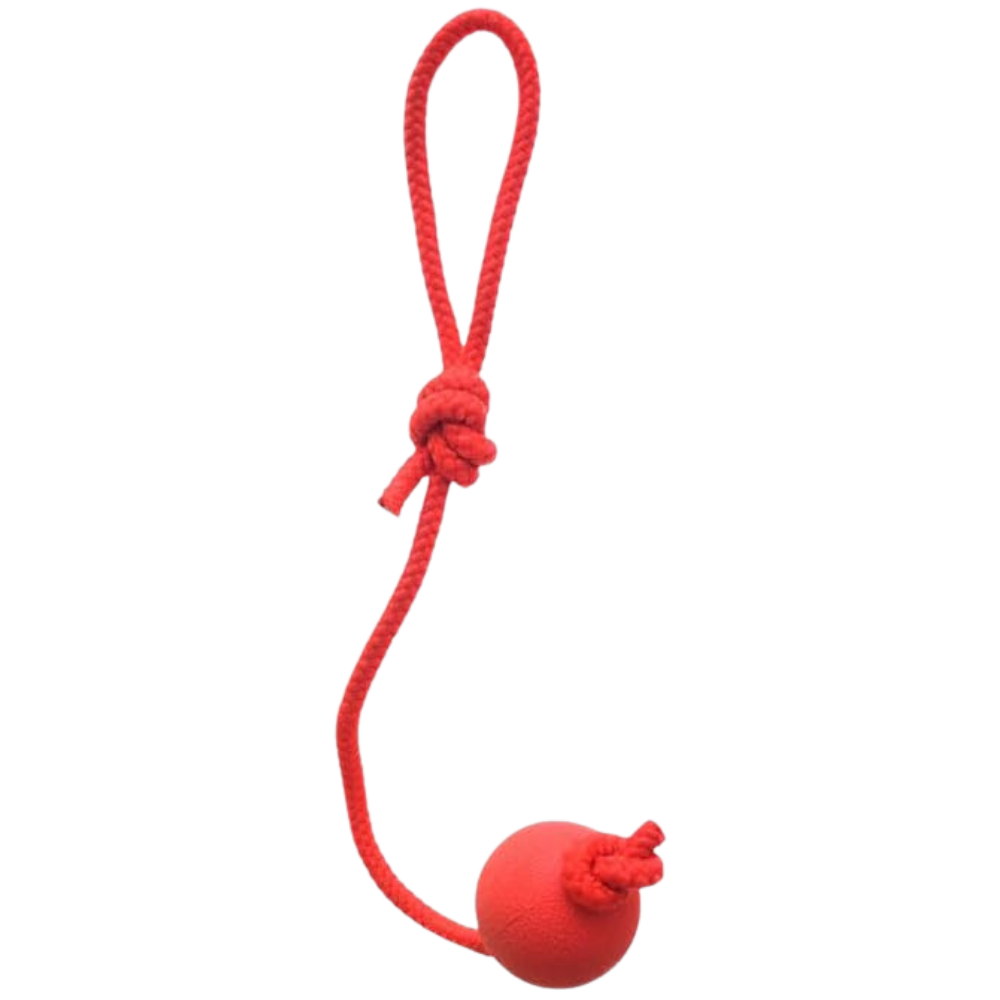 Rubber Ball Rope Dog.
