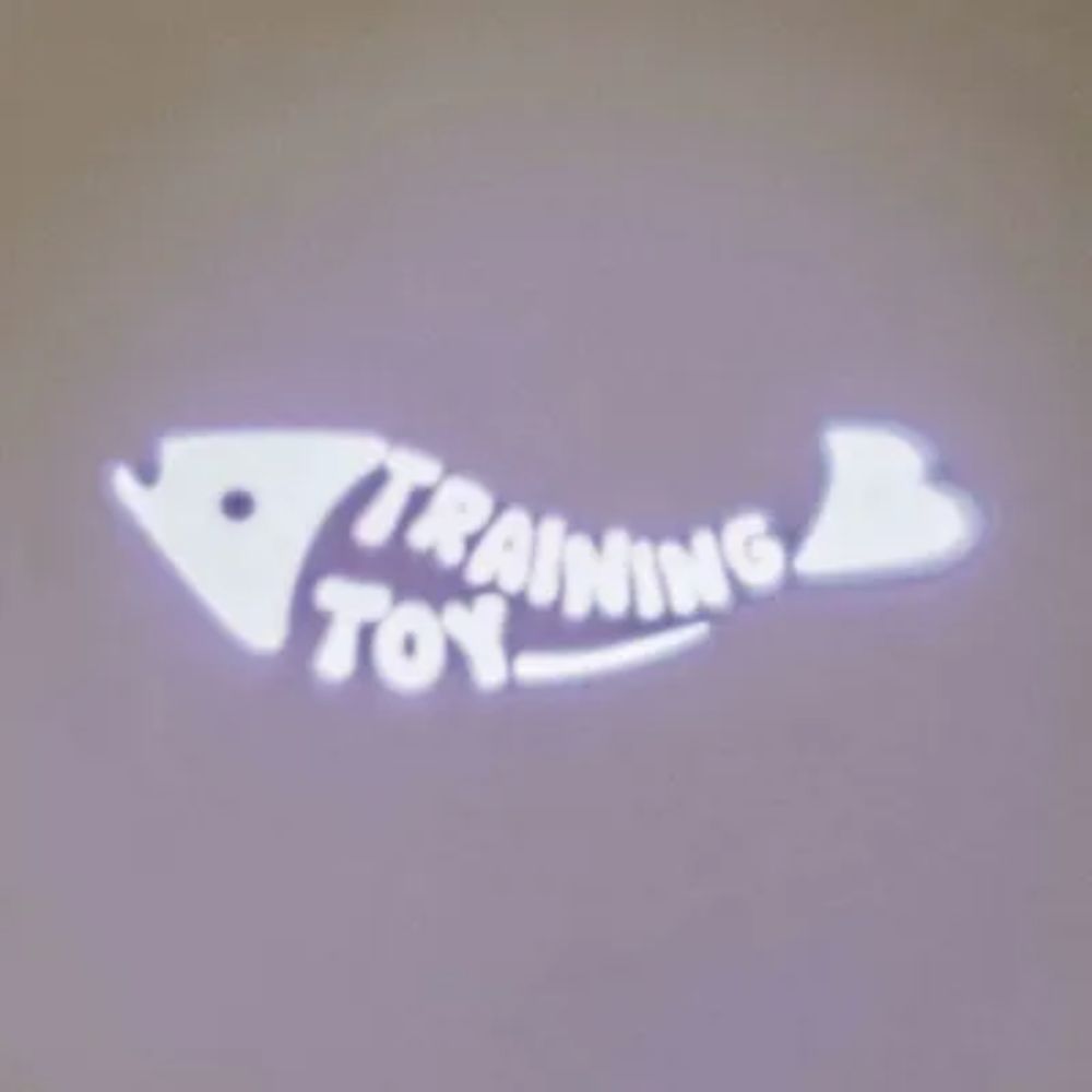 Pet Led Amusing Fish Spotlight Toy Petfast.shop Generic Cat Dog Supplies Toys petfast.shop EgyptDefault Title 300.00