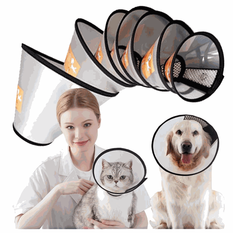 Covalent White Protective Pet Collar