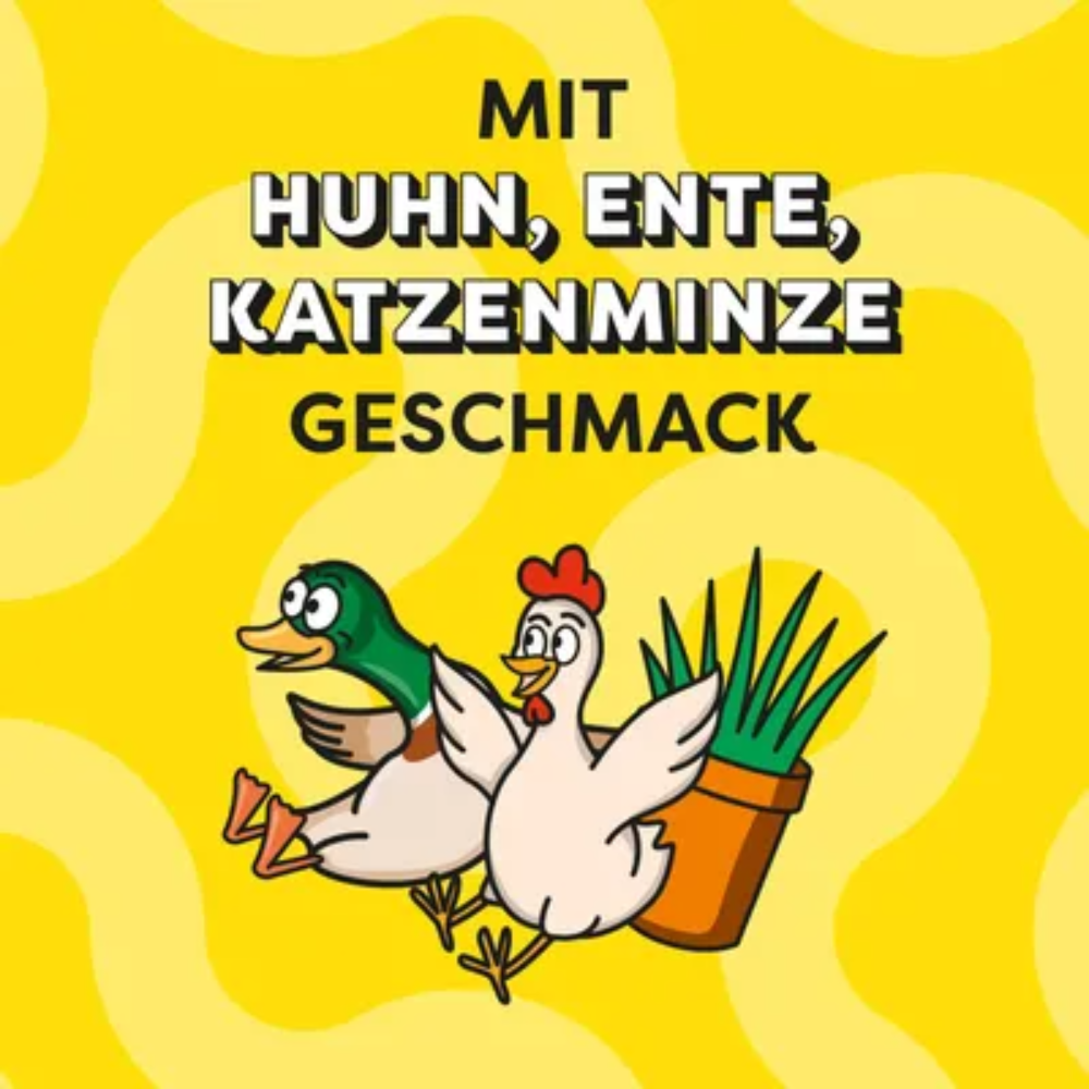 Cartoon duck, chicken, and catnip plant on a yellow background with text about flavors.