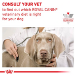 Royal Canin Dog Renal Loaf 410g