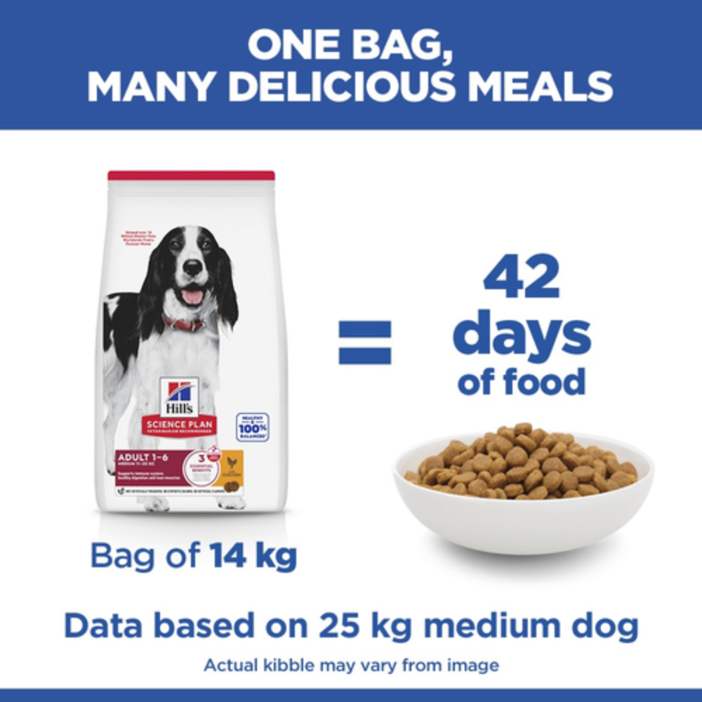 Hill's Science Plan Medium Adult Dog with Chicken Petfast.shop Hill's Dog Dry Food Food Prescription Food petfast.shop Egypt2.5Kg 1490.00