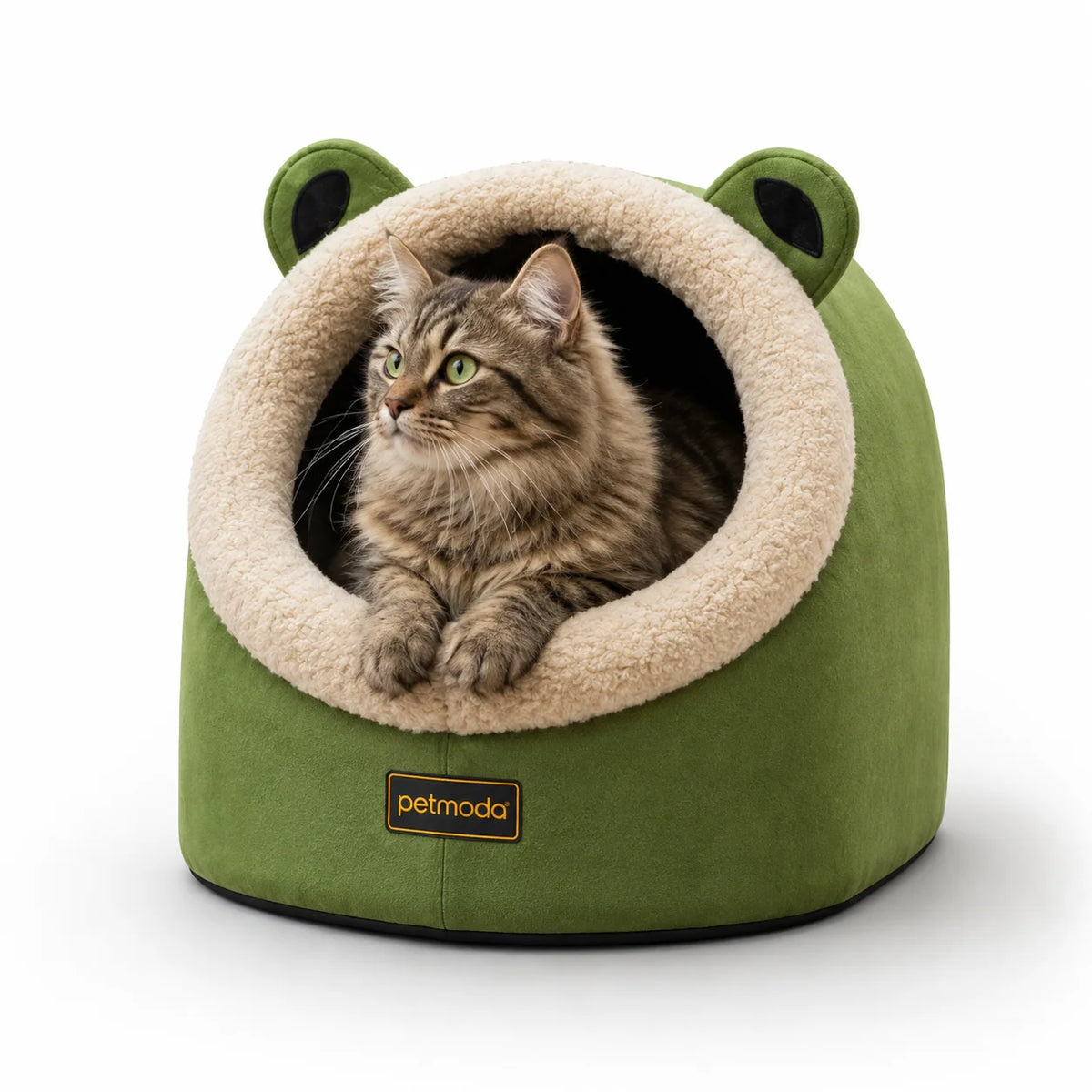 Petmoda Cat House Bed Frog 50Cm