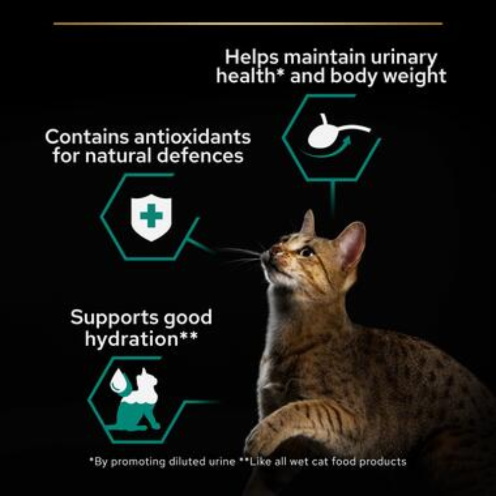 Package Pro Plan Nutrisavour Sterilised Chicken In Gravy (10*85g) Petfast.shop Pro Plan Cat Food Wet Food petfast.shop Egypt PPA5992S Default Title 1125.00
