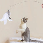 Interactive cat toy steel wire with feather.
