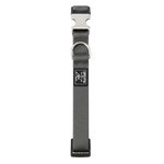 Dog collar with a brand logo on a white background