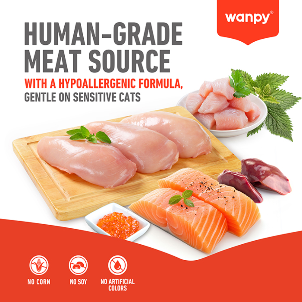 Wanpy Biscuits Crunchy Pocket Chicken Recipe 60 g Petfast.shop Wanpy Biscuit Treat Cat Exclusive Treats petfast.shop Egypt PWA6941S Default Title 210.00