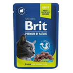 Brit premium cat food pouch with a blue and green design on a white background