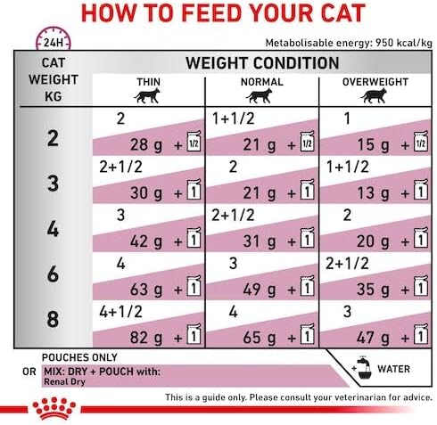 Royal Canin Wet Food Renal with Fish in Gravy Pouch 85 g