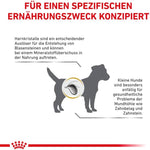 Royal Canin Dog Food Urinary S/O Small Dogs 1.5 Kg Petfast.shop Royal Canin Dog Dry Food Food petfast.shop EgyptDefault Title 1600.00