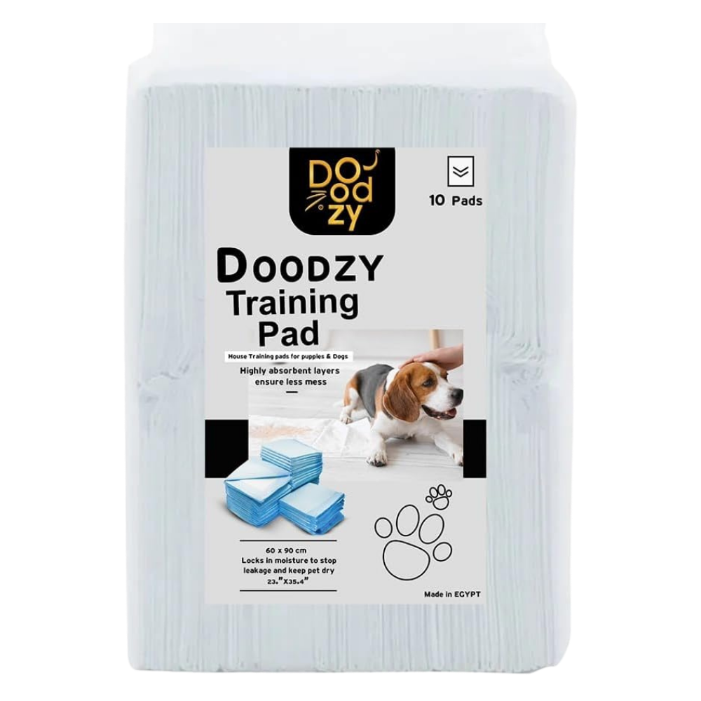 Doodzy training pad packaging with a dog on a white background