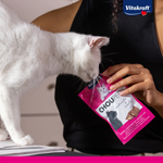 White cat sniffing a package of Choupette cat food held by a person, with Vitakraft logo visible.
