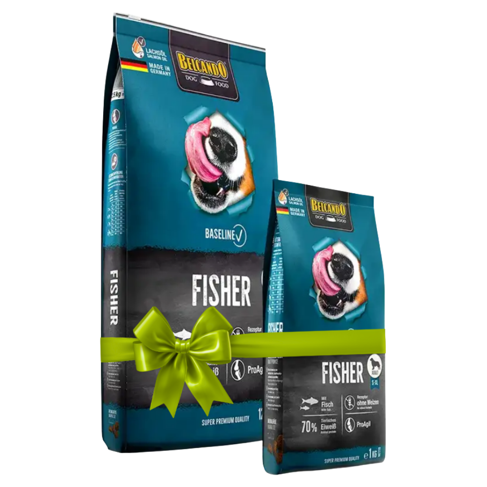 Two packages of Fisher dog food with a green bow on a white background