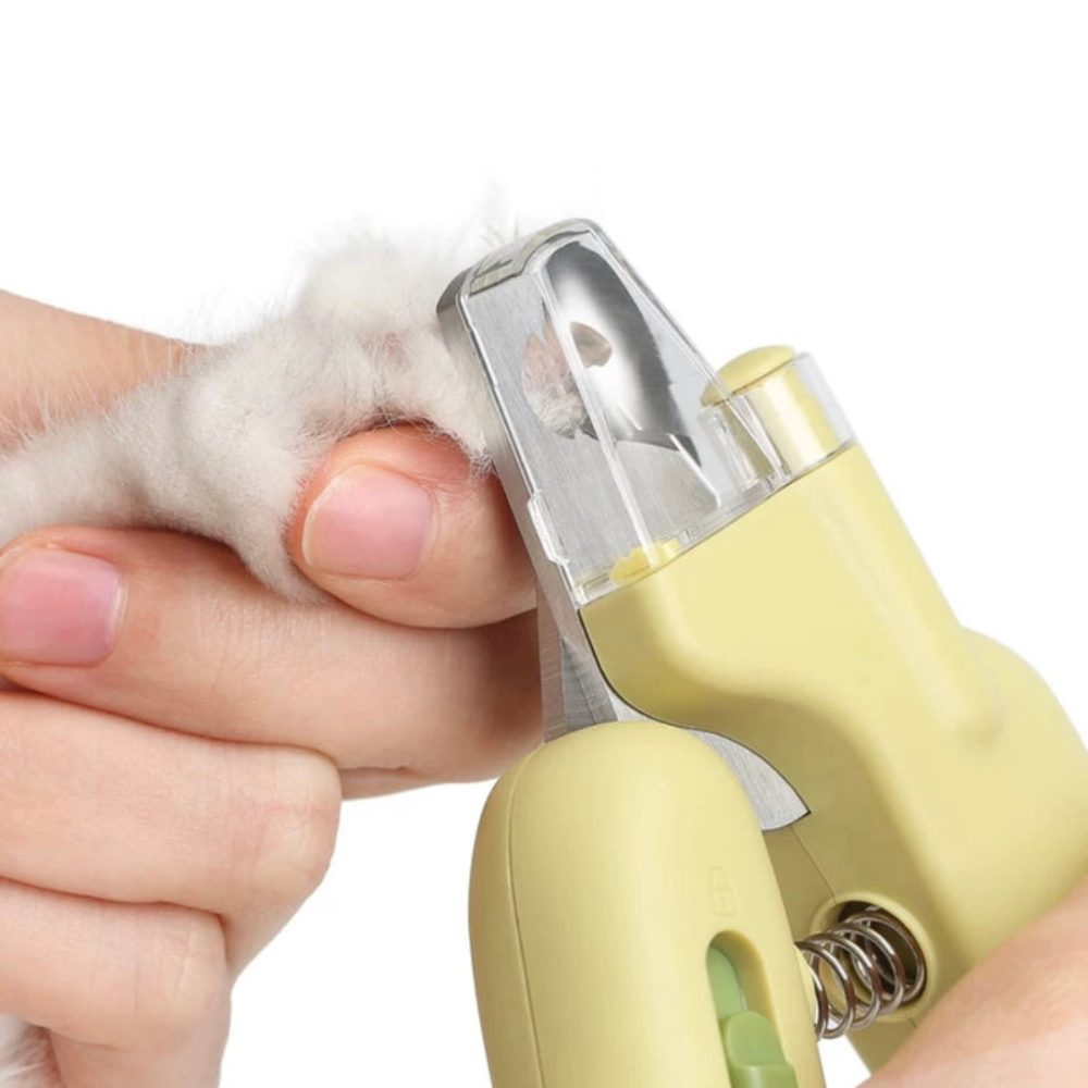 Pet nail trimmer being used on a dog's paw with a white background