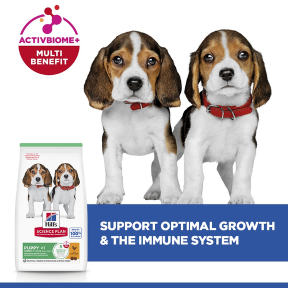 Hill's Science Plan Medium Breed Puppy Food with Chicken Petfast.shop Hill's Dog Dry Food Food petfast.shop Egypt2.5Kg 1700.00