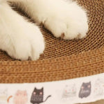 Close-up of a cat's paws on a textured surface with a cat-themed blanket in the foreground.