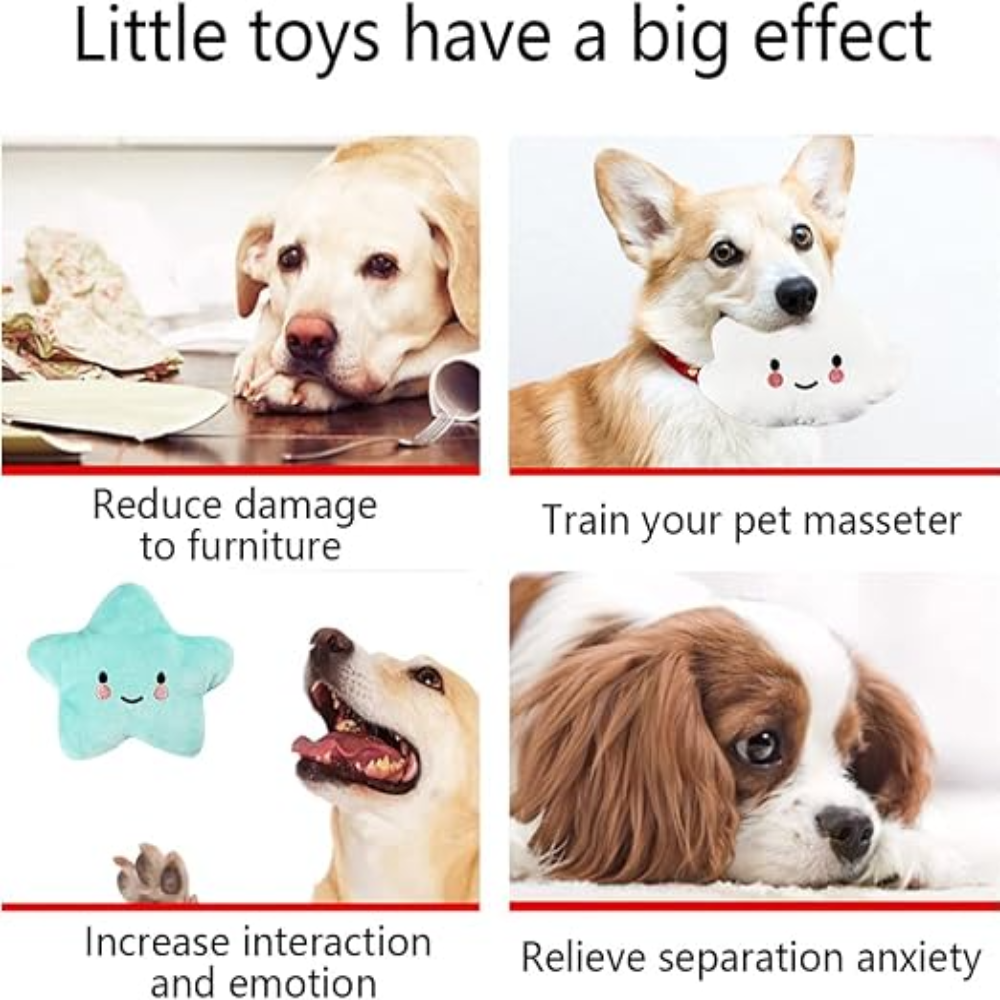 Bomei Pet Dog Star Shape Toy Petfast.shop Bomei Dog Supplies Toys petfast.shop EgyptGray 85.00