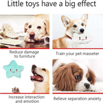 Bomei Pet Dog Star Shape Toy Petfast.shop Bomei Dog Supplies Toys petfast.shop EgyptGray 85.00
