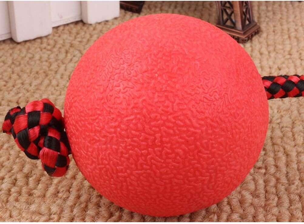 PawZilla Ball Toy With Rope.