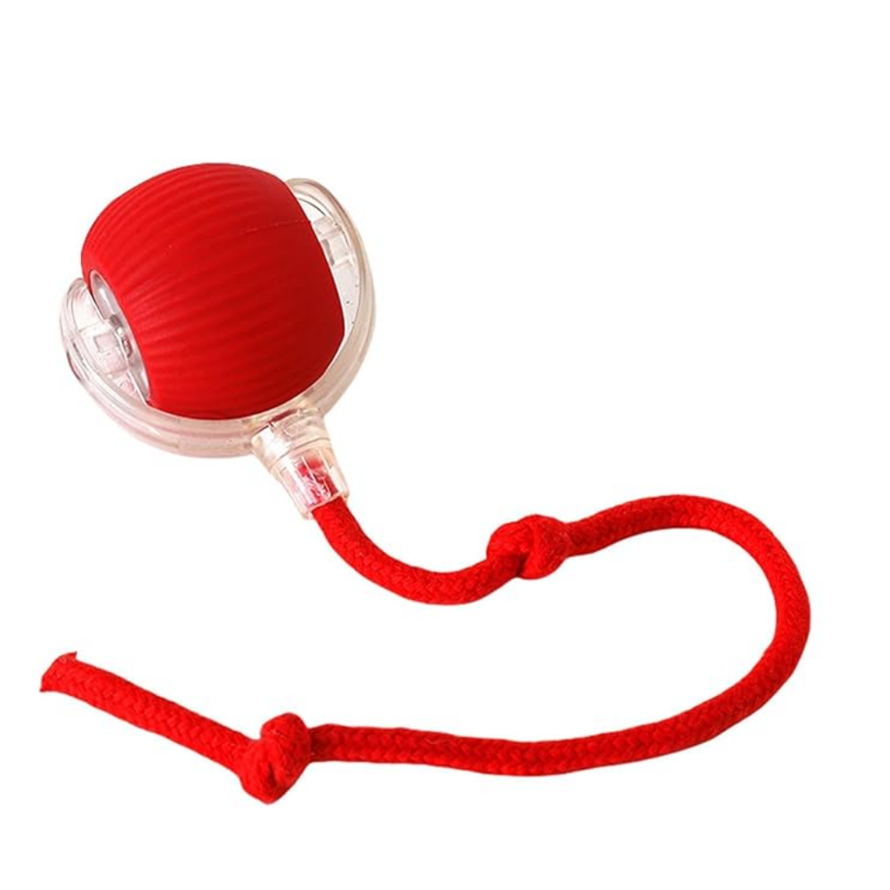 Red ball with a rope on a white background
