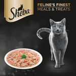 Sheba cat food packaging with a gray cat and a dish of food on a dark background