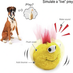 Crazy Puppy Dog Toys Size 14Cm Petfast.shop Generic Dog Puppy Supplies Toys petfast.shop EgyptMarshmallow Munch 350.00