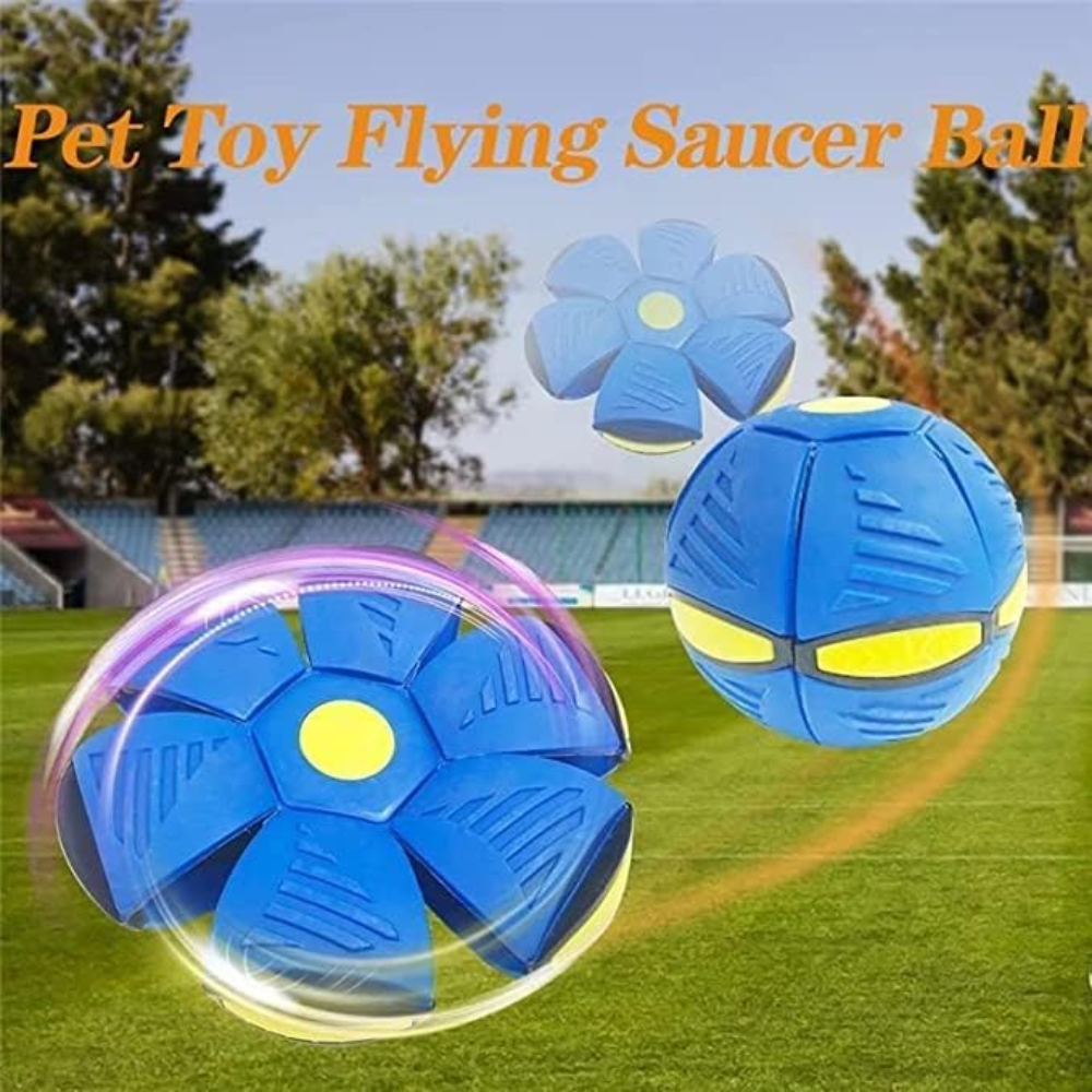 Pet toy flying saucer ball with a stadium background