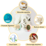 Diagram showing benefits of a pet product on a white background