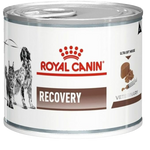 Can of Royal Canin Recovery pet food on a white background