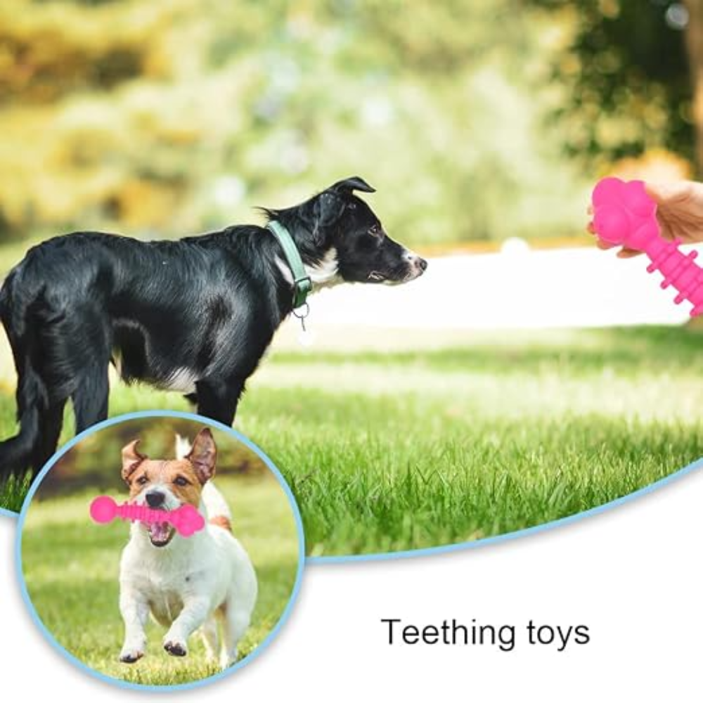Squeaky Rubber Dog Chew Toy Petfast.shop Generic Dog Exclusive Puppy Supplies Toys petfast.shop EgyptPink 150.00