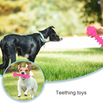 Squeaky Rubber Dog Chew Toy Petfast.shop Generic Dog Exclusive Puppy Supplies Toys petfast.shop EgyptPink 150.00
