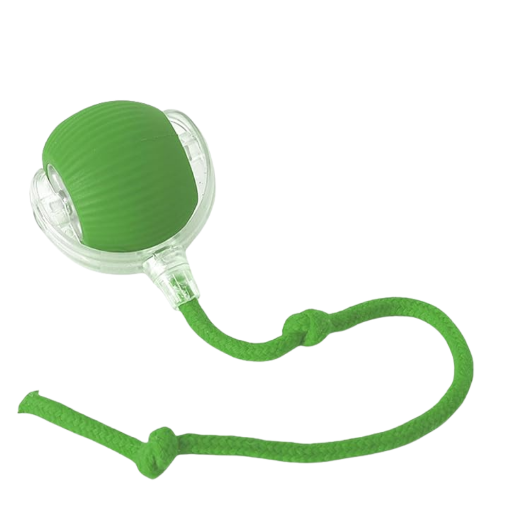 Green dog toy with a rope on a white background