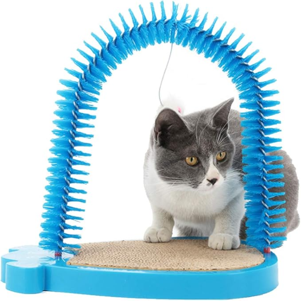 Cat Arched Scratching Tickler Toy Petfast.shop Generic Cat Scratches & Accessories Supplies petfast.shop EgyptBlue 975.00