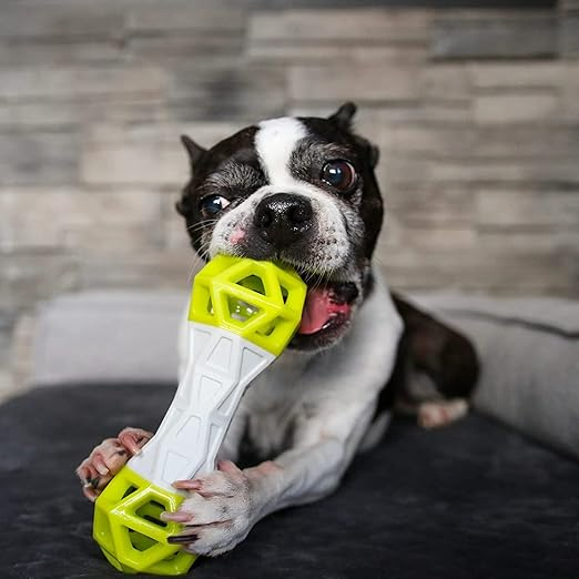 CoolCat Dumbbell Puzzle Dog Toy