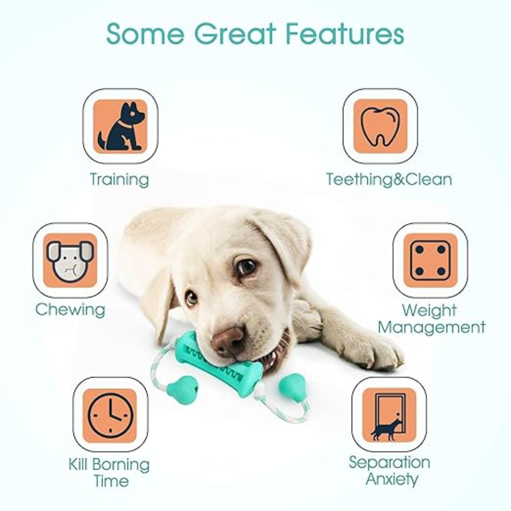 Dog with a chew toy and icons indicating features like training, teething, chewing, weight management, killing boredom, and separation anxiety.