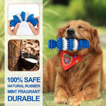 Dog playing with a blue and white rubber toy outdoors