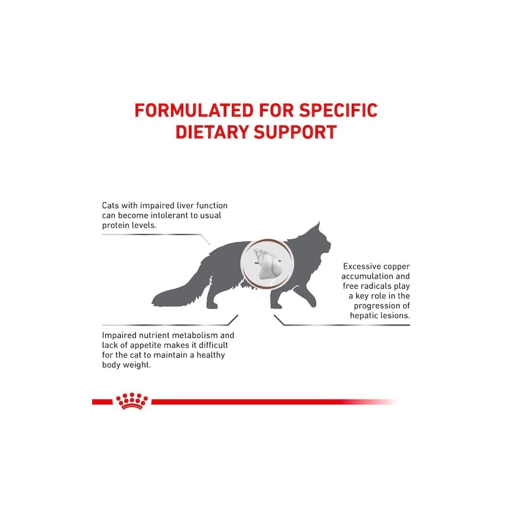 Royal Canin Hepatic All Breeds Adult Cat Food.