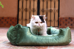 Petmoda Velvet Bed Large 70*55 - light green.