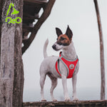 DOCO® Athletica Net mesh QUICK FIT Dog Harness.