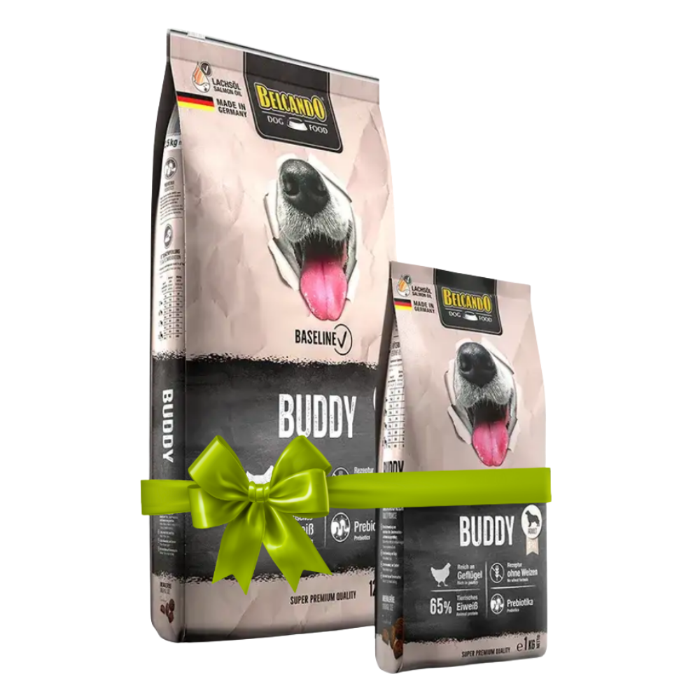 Two packages of Buddy dog food with a green ribbon on a white background