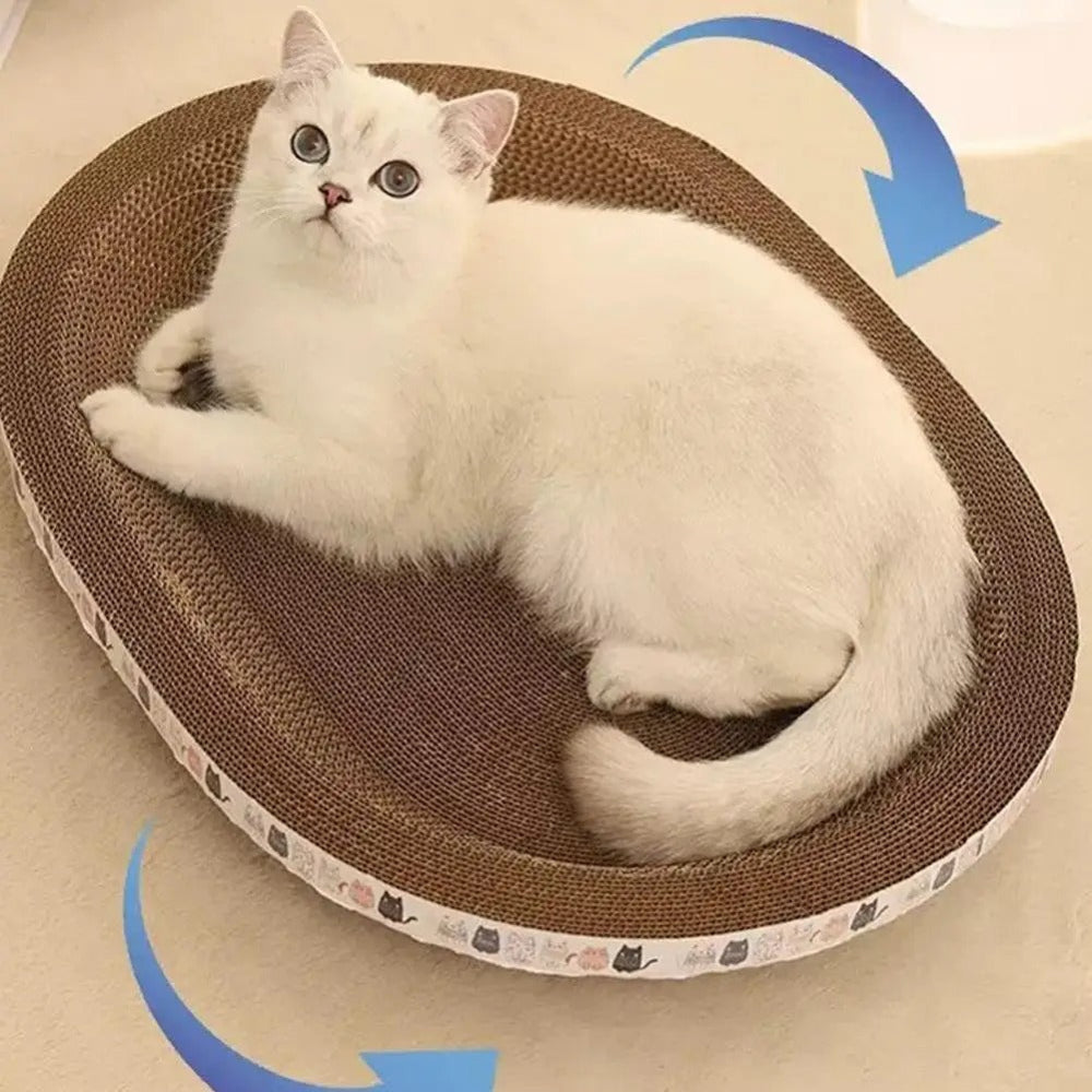 White cat lying on a brown cat scratcher with blue arrows indicating movement.